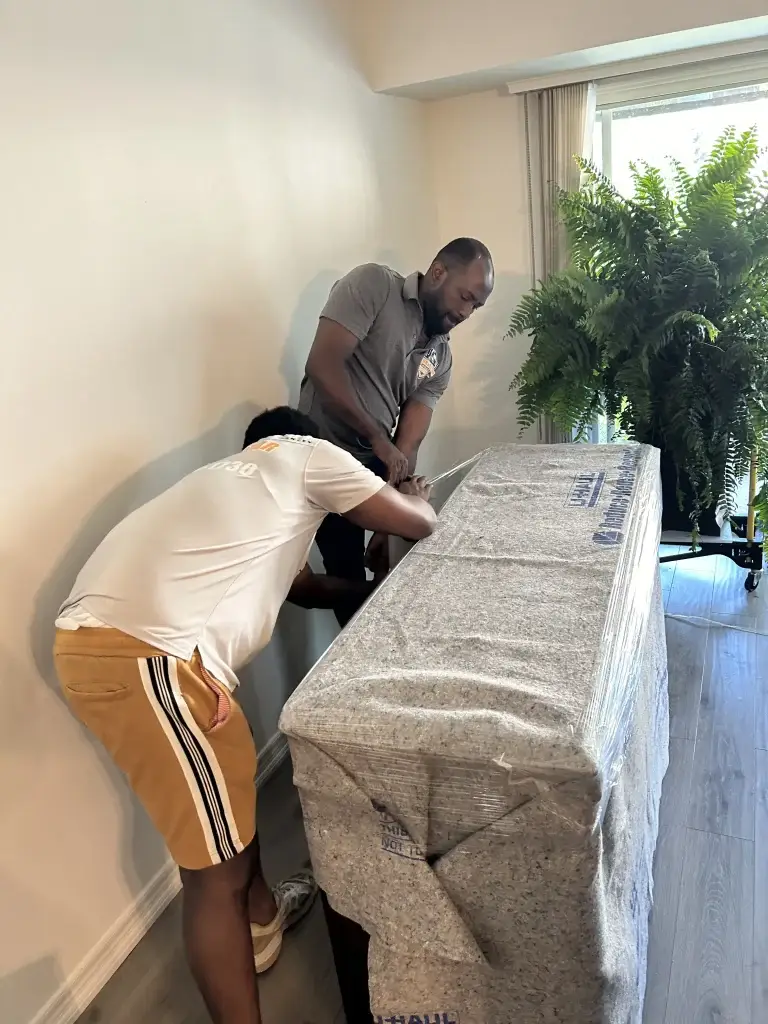 Professional moving team assisting with a local move in Lasalle.